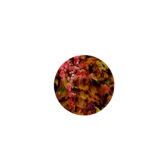 Red And Yellow Ivy  1  Mini Buttons by okhismakingart