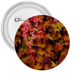 Red And Yellow Ivy  3  Buttons by okhismakingart