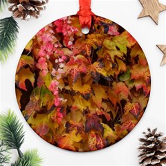 Red and Yellow Ivy  Ornament (Round)