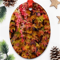 Red And Yellow Ivy  Ornament (oval)