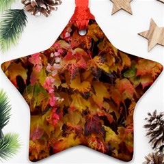 Red and Yellow Ivy  Ornament (Star)