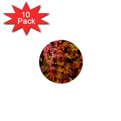 Red And Yellow Ivy  1  Mini Buttons (10 Pack) 