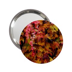 Red And Yellow Ivy  2 25  Handbag Mirrors by okhismakingart