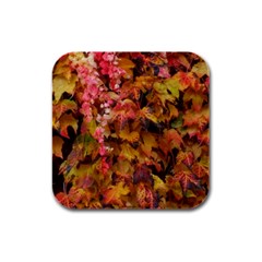 Red and Yellow Ivy  Rubber Square Coaster (4 pack)