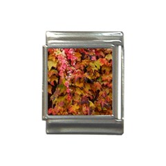 Red And Yellow Ivy  Italian Charm (13mm) by okhismakingart