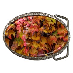 Red and Yellow Ivy  Belt Buckles