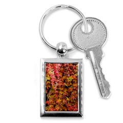 Red and Yellow Ivy  Key Chain (Rectangle)