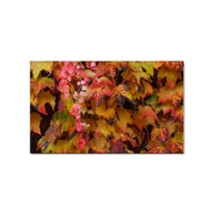 Red And Yellow Ivy  Sticker (rectangular) by okhismakingart