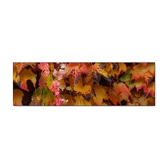 Red And Yellow Ivy  Sticker (bumper) by okhismakingart