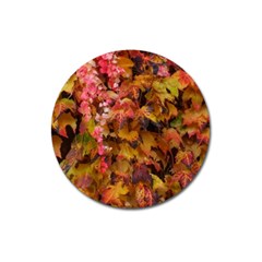 Red And Yellow Ivy  Magnet 3  (round)