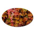 Red and Yellow Ivy  Oval Magnet Front