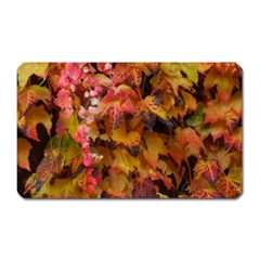 Red And Yellow Ivy  Magnet (rectangular) by okhismakingart