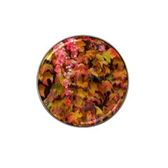 Red and Yellow Ivy  Hat Clip Ball Marker (4 pack)