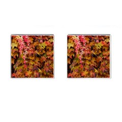 Red And Yellow Ivy  Cufflinks (square) by okhismakingart