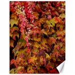 Red and Yellow Ivy  Canvas 12  x 16  11.86 x15.41  Canvas - 1