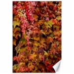 Red and Yellow Ivy  Canvas 12  x 18  11.88 x17.36  Canvas - 1