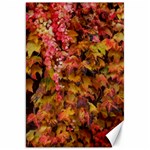 Red and Yellow Ivy  Canvas 20  x 30  19.62 x28.9  Canvas - 1