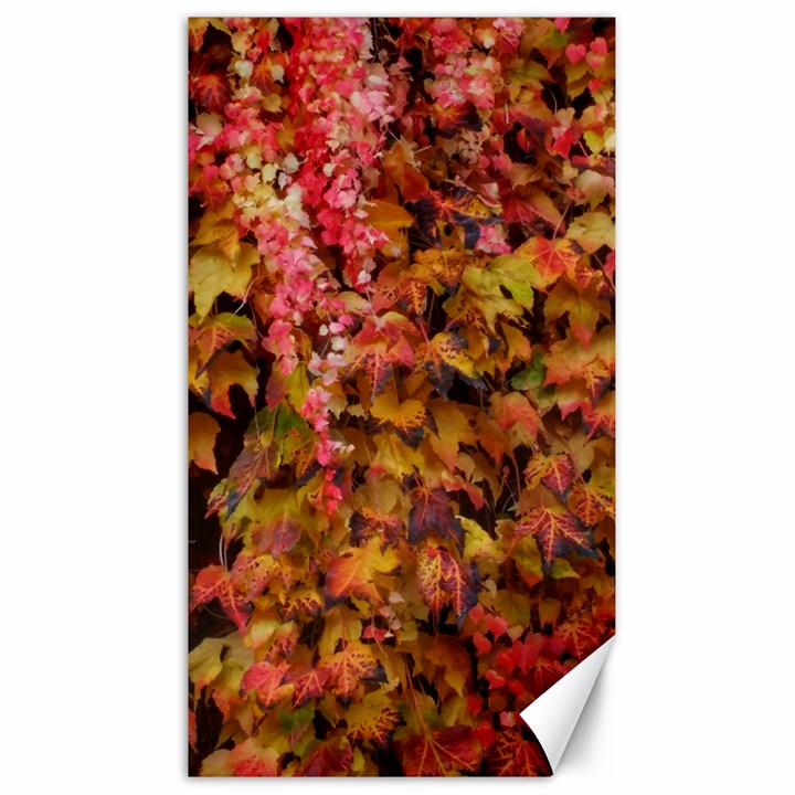 Red and Yellow Ivy  Canvas 40  x 72 