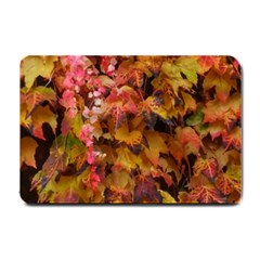 Red And Yellow Ivy  Small Doormat by okhismakingart