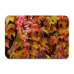 Red and Yellow Ivy  Plate Mats