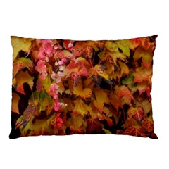 Red And Yellow Ivy  Pillow Case by okhismakingart