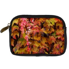 Red and Yellow Ivy  Digital Camera Leather Case