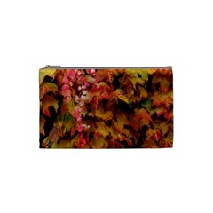 Red And Yellow Ivy  Cosmetic Bag (small)