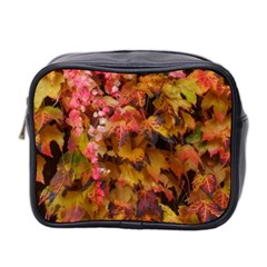 Red and Yellow Ivy  Mini Toiletries Bag (Two Sides)