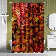 Red And Yellow Ivy  Shower Curtain 48  X 72  (small)  by okhismakingart