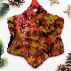 Red And Yellow Ivy  Ornament (snowflake) by okhismakingart