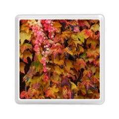 Red and Yellow Ivy  Memory Card Reader (Square)