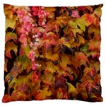 Red and Yellow Ivy  Large Cushion Case (Two Sides) Front