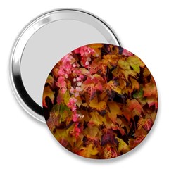 Red And Yellow Ivy  3  Handbag Mirrors by okhismakingart