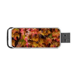 Red And Yellow Ivy  Portable Usb Flash (one Side) by okhismakingart