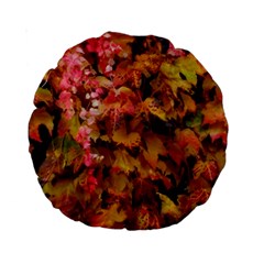 Red and Yellow Ivy  Standard 15  Premium Round Cushions