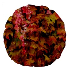 Red and Yellow Ivy  Large 18  Premium Round Cushions