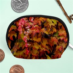 Red And Yellow Ivy  Accessory Pouch (medium) by okhismakingart