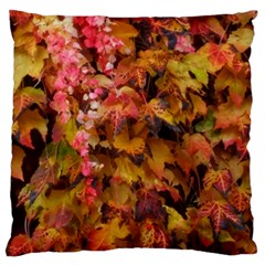 Red and Yellow Ivy  Standard Premium Plush Fleece Cushion Case (Two Sides)