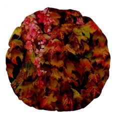 Red and Yellow Ivy  Large 18  Premium Flano Round Cushions