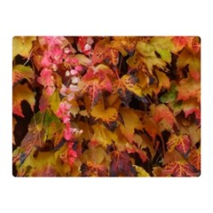 Red and Yellow Ivy  Two Sides Premium Plush Fleece Blanket (Mini)