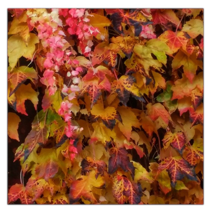 Red and Yellow Ivy  Square Satin Scarf (36  x 36 )