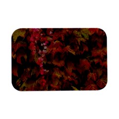 Red And Yellow Ivy  Open Lid Metal Box (silver)  