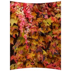 Red and Yellow Ivy  Back Support Cushion