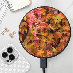 Red and Yellow Ivy  Wireless Fast Charger(Black)