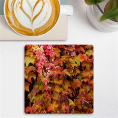 Red and Yellow Ivy  UV Print Square Tile Coaster 