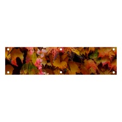 Red And Yellow Ivy  Banner And Sign 4  X 1  by okhismakingart