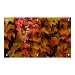 Red and Yellow Ivy  Banner and Sign 5  x 3  Front