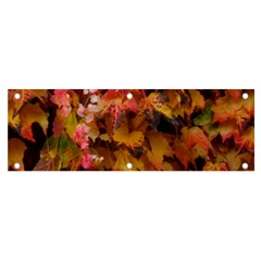 Red And Yellow Ivy  Banner And Sign 6  X 2  by okhismakingart