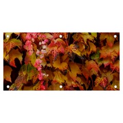 Red And Yellow Ivy  Banner And Sign 6  X 3  by okhismakingart