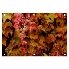 Red And Yellow Ivy  Banner And Sign 6  X 4  by okhismakingart